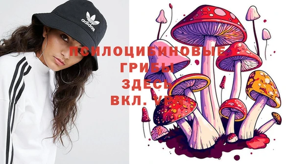 MDMA Premium VHQ Волоколамск