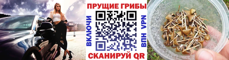 Галлюциногенные грибы Cubensis  Отрадный 